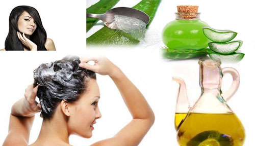 Алоэ для волос — применение и рецепты масок в домашних условиях