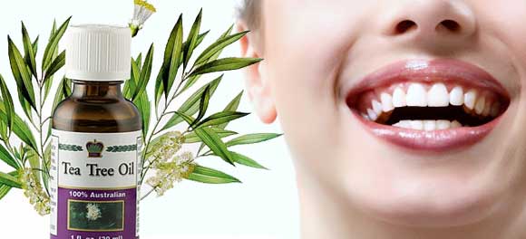 Эфирное масло чайного дерева для зубов: отбеливаем, чистим, лечим — 4 рецепта
