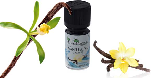 Эфирное масло ванили: свойства и применение