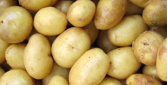 Картофельный сок: польза и вред, употребление при панкреатите, гастрите и др