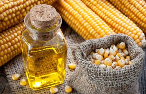 Кукурузное масло: полезные свойства и противопоказания