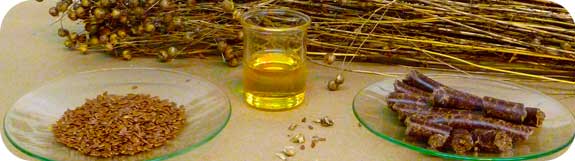 Льняное масло: польза и вред, как принимать внутрь