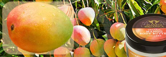 Масло манго: свойства и применение для волос, лица и тела