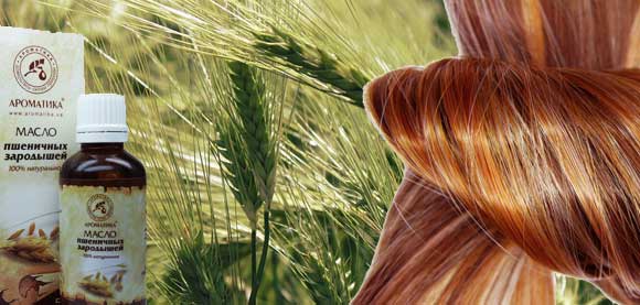 Масло зародышей пшеницы для волос — применение, рецепты масок