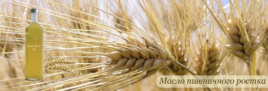 Масло зародышей пшеницы: применение для волос и лица, рецепты масок и отзывы