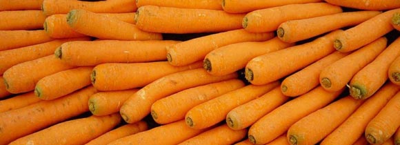 Морковь: польза и вред для организма, полезные свойства сока и отварной моркови