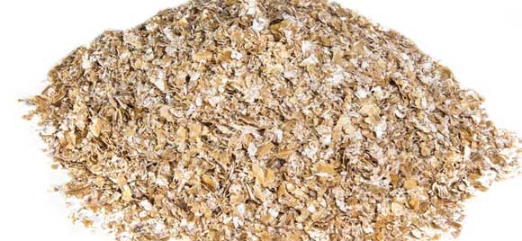 Отруби пшеничные, польза и вред для организма
