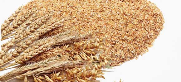 Отруби пшеничные, польза и вред для организма