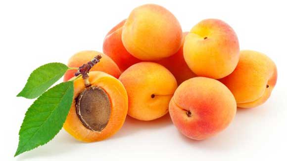 Польза и вред абрикосов для здоровья