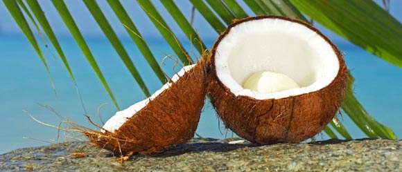 Польза и вред кокосового масла, как правильно использовать