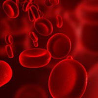 Продукты повышающие гемоглобин в крови у взрослых и детей (таблица)