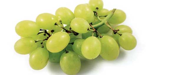Виноград: польза и вред для организма, о черном и зеленом, винограде кишмиш